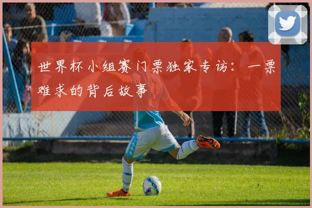 世界杯小组赛门票独家专访：一票难求的背后故事