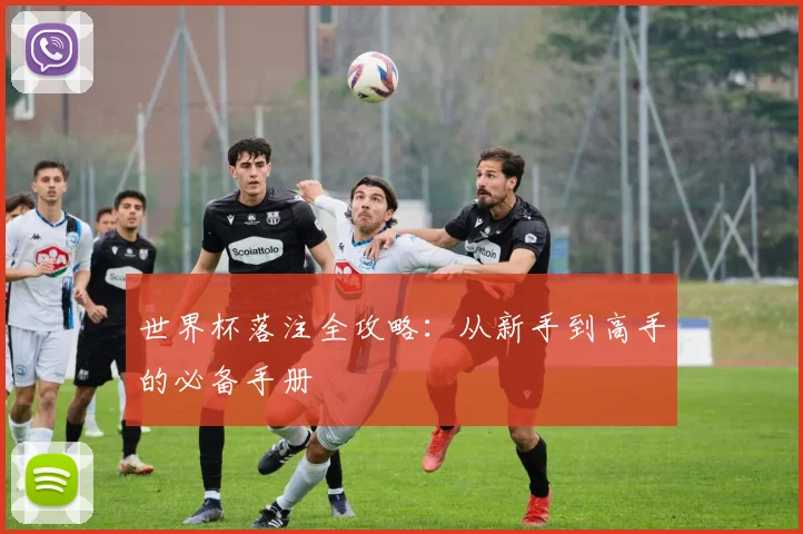 世界杯落注全攻略：从新手到高手的必备手册